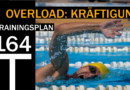 Trainingsplan #164: So geht Krafttraining im Wasser!