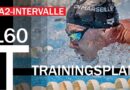 Trainingsplan #160: Intensives GA2-Intervall-Training, 3.200m